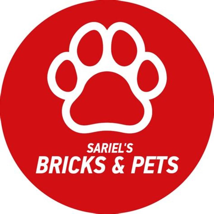 Sariel's Bricks & Pets Youtuber overview